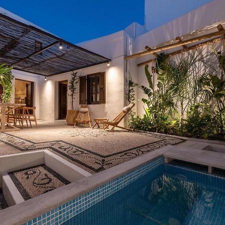 Lindian Plumeria لينثوس المظهر الخارجي الصورة